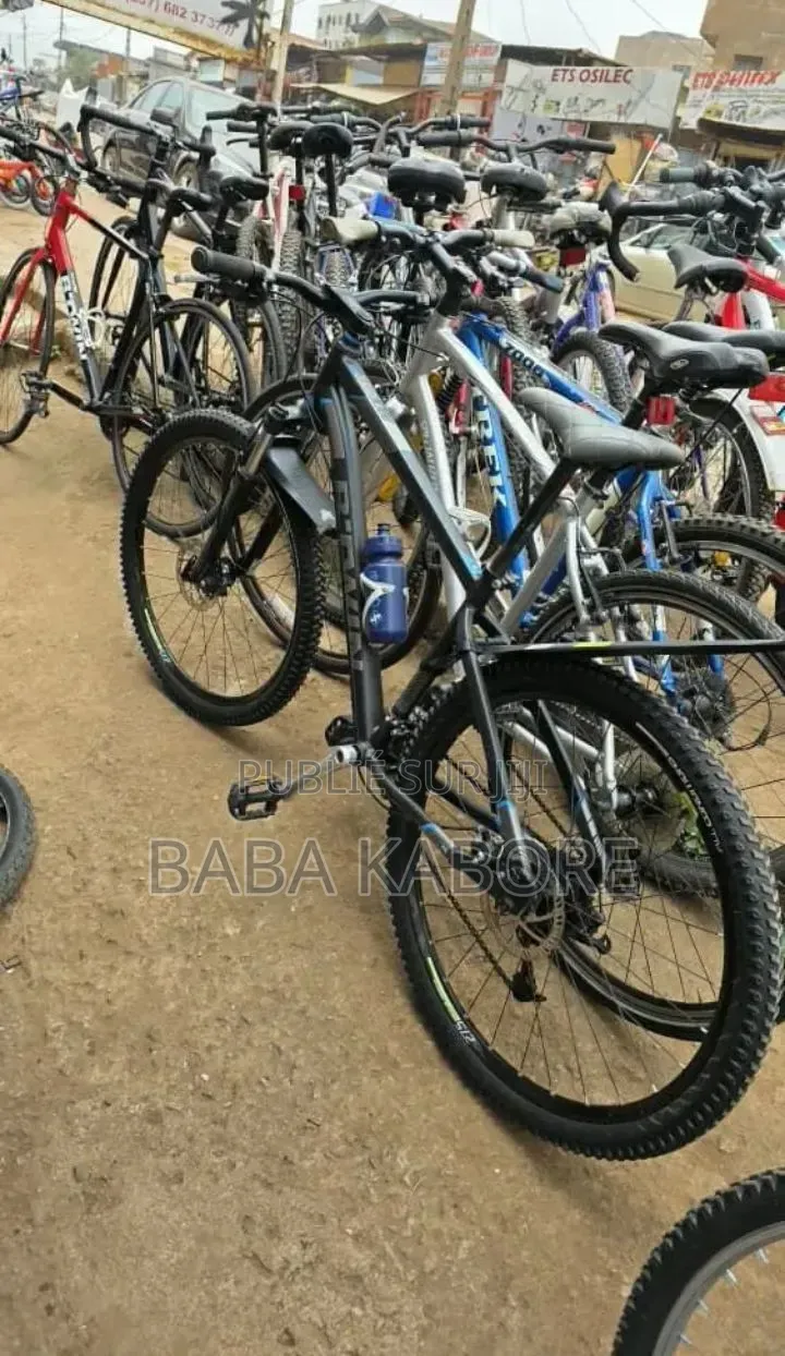 Vélo Électrique