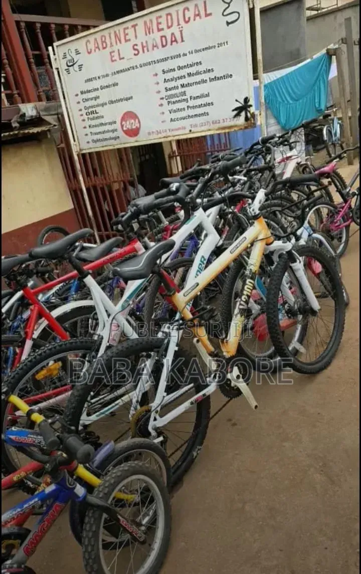 Vélo Électrique