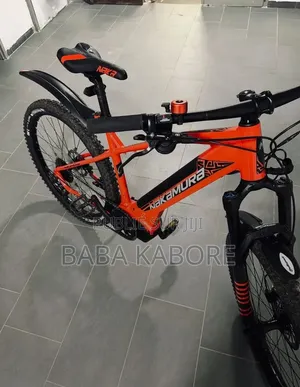 Vélo Électrique
