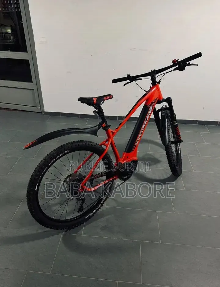 Vélo Électrique