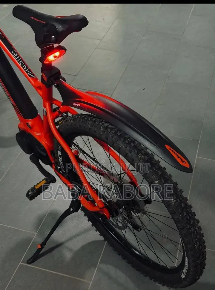 Vélo Électrique