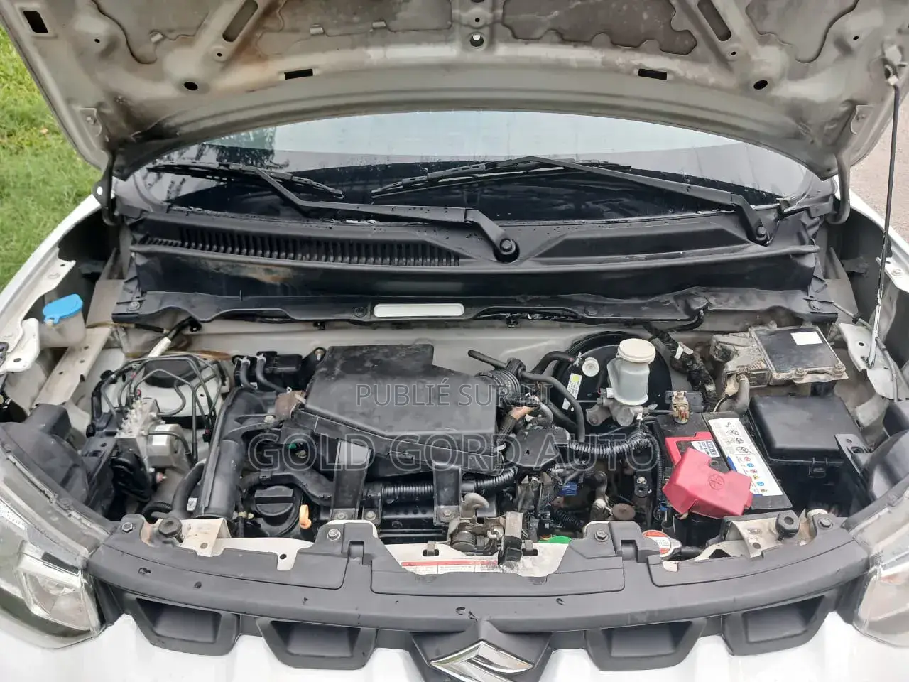 Suzuki S-Presso 2024 Blanc
