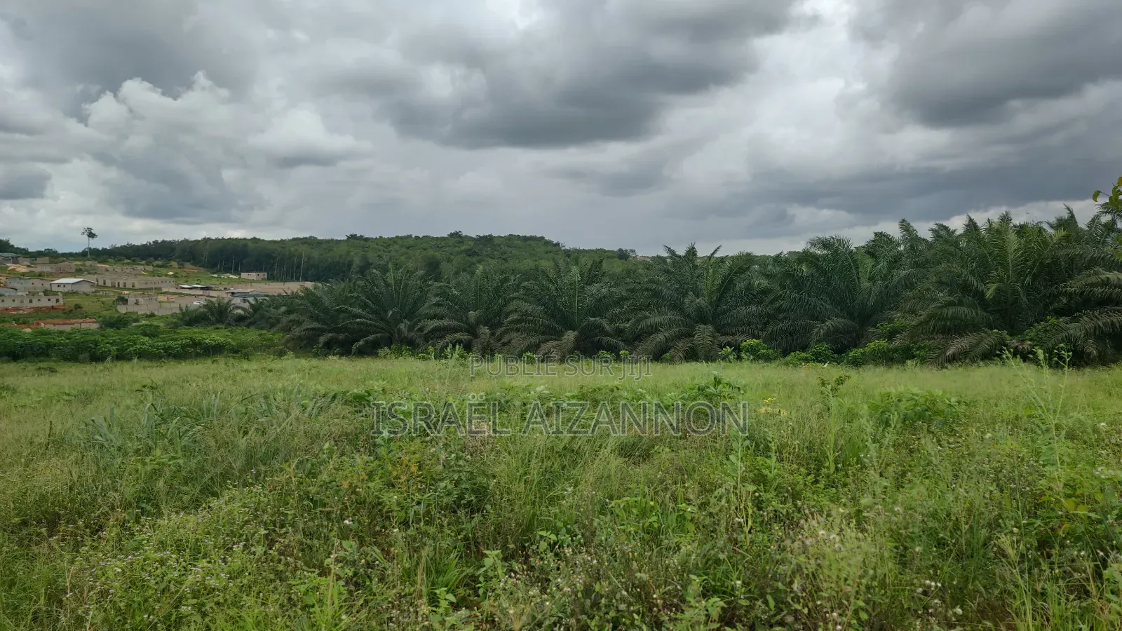 Terrain en Vente