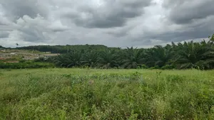 Terrain en Vente