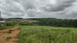 Terrain en Vente