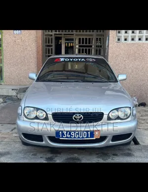Toyota Corolla 2001 Gris