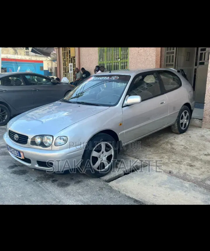 Toyota Corolla 2001 Gris