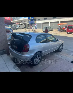 Toyota Corolla 2001 Gris