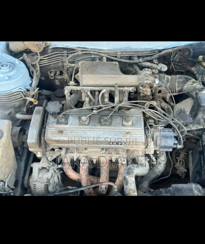 Toyota Corolla 2001 Gris