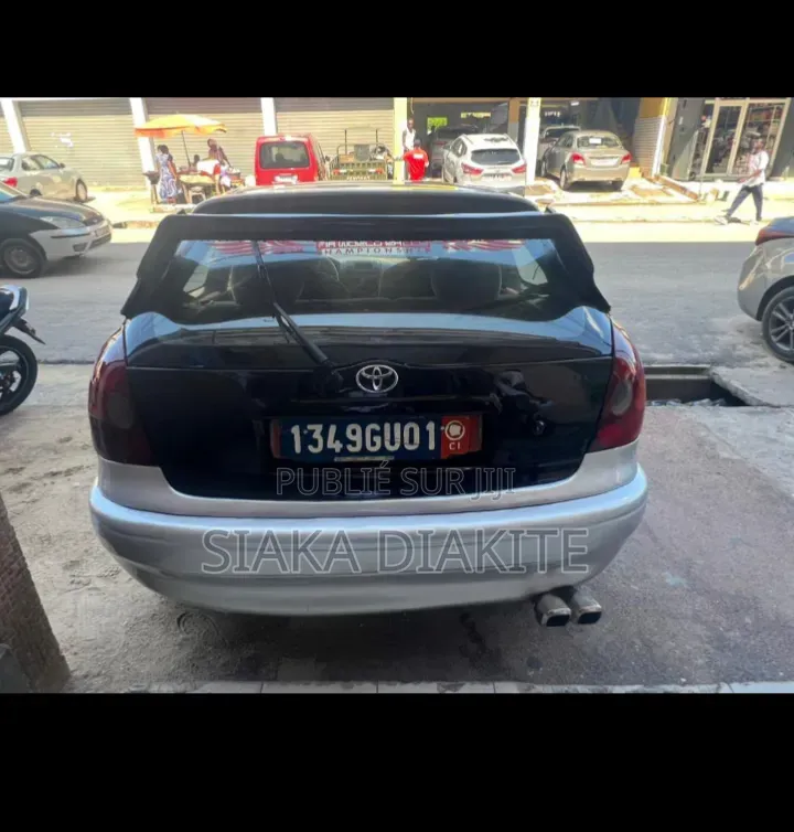 Toyota Corolla 2001 Gris