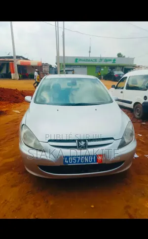 Peugeot 307 2004 Gris