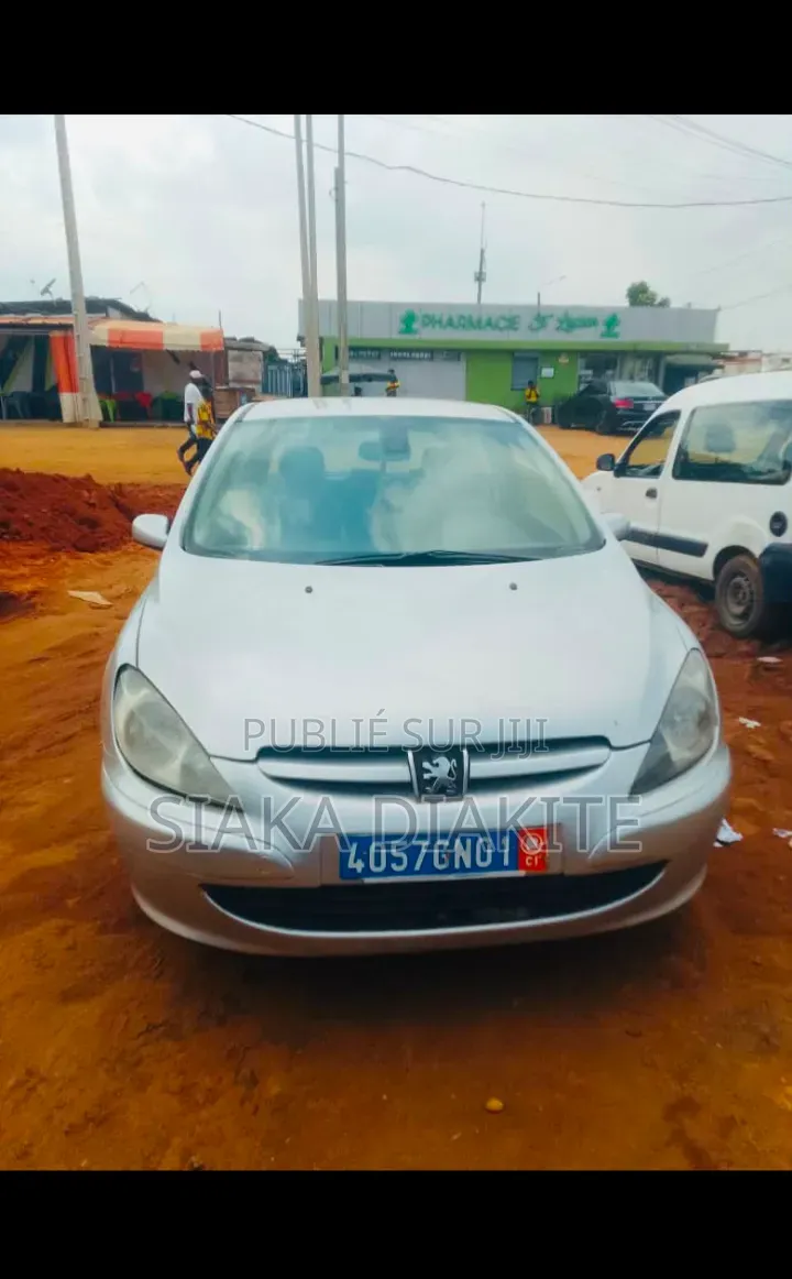 Peugeot 307 2004 Gris