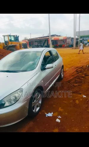 Peugeot 307 2004 Gris