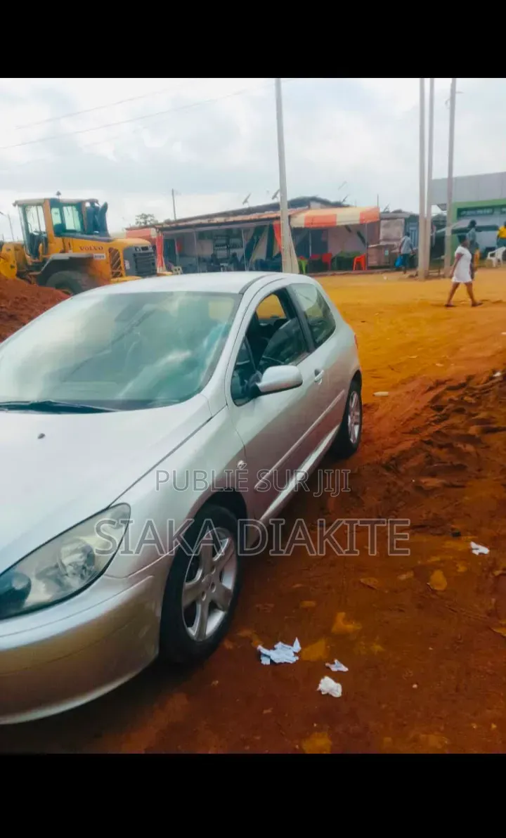 Peugeot 307 2004 Gris