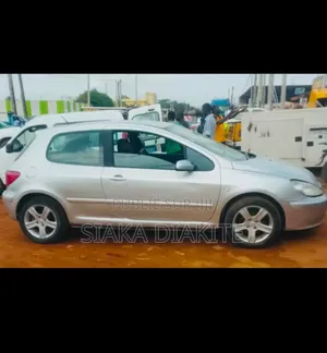 Peugeot 307 2004 Gris