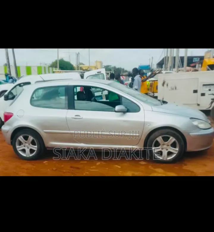 Peugeot 307 2004 Gris