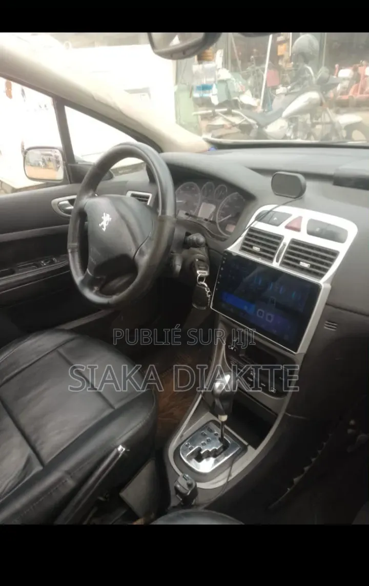 Peugeot 307 2004 Gris