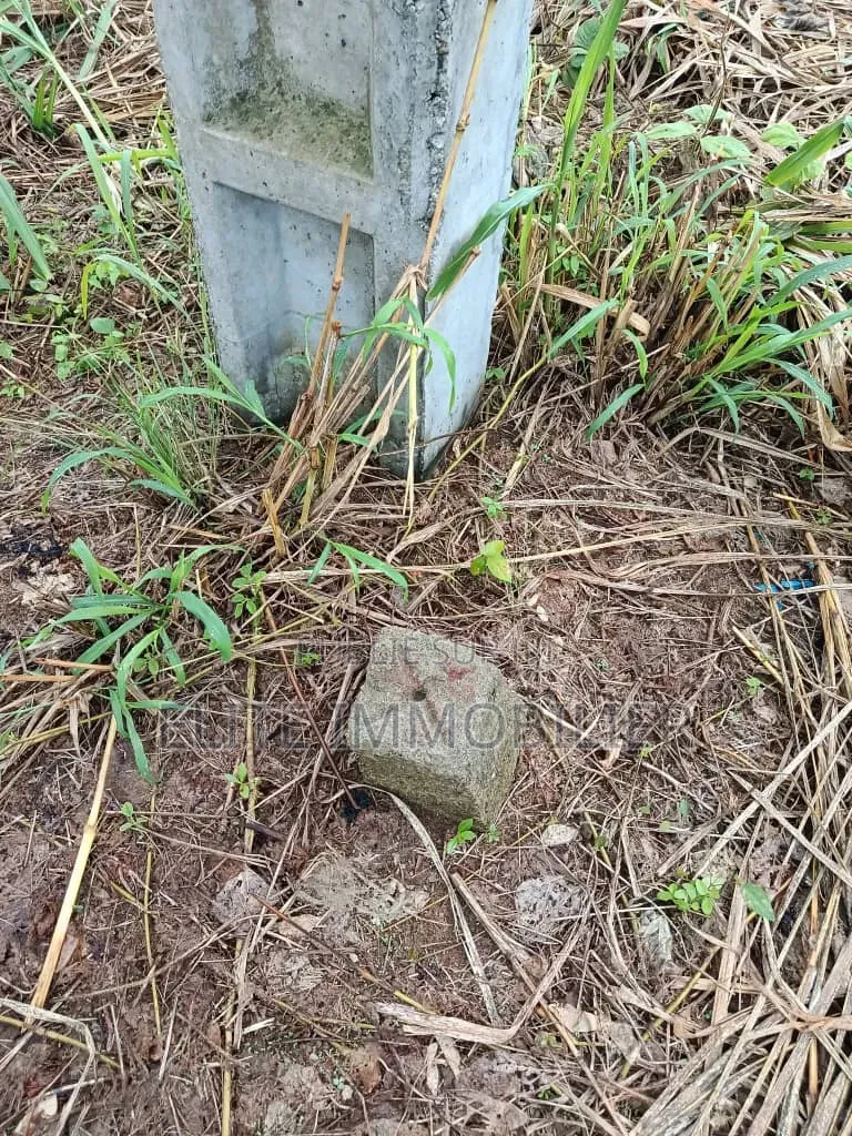 Terrain en Vente a Bonoua