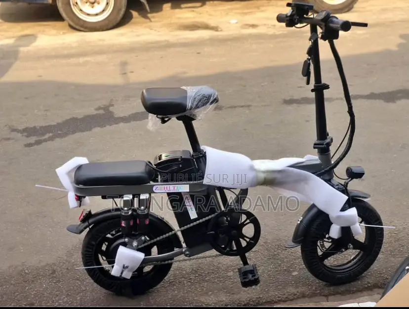 Bicyclette Electric