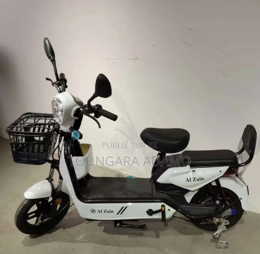 Moto Electric