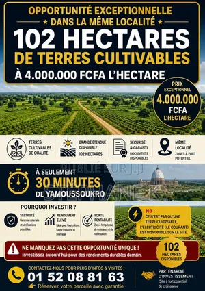 Opportunité_terres Cultivables À Yakro 1h=4 MillionsGrds Proj
