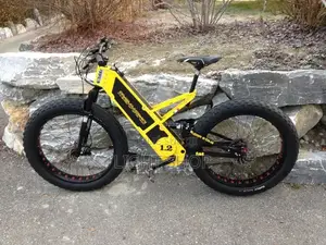 Vélo Électrique