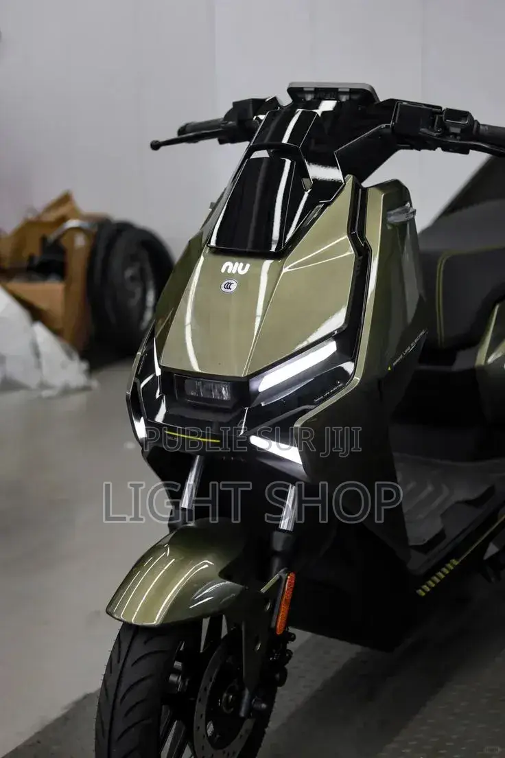 Moto Électrique