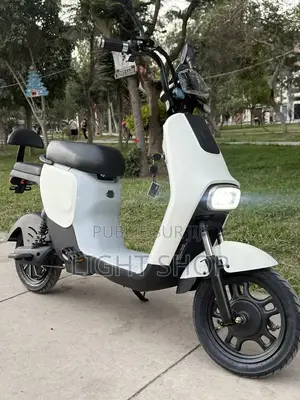 Moto Électrique