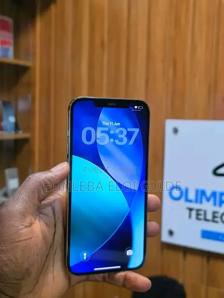Nouveau Apple iPhone 12 Pro Max 256 GB Blanc