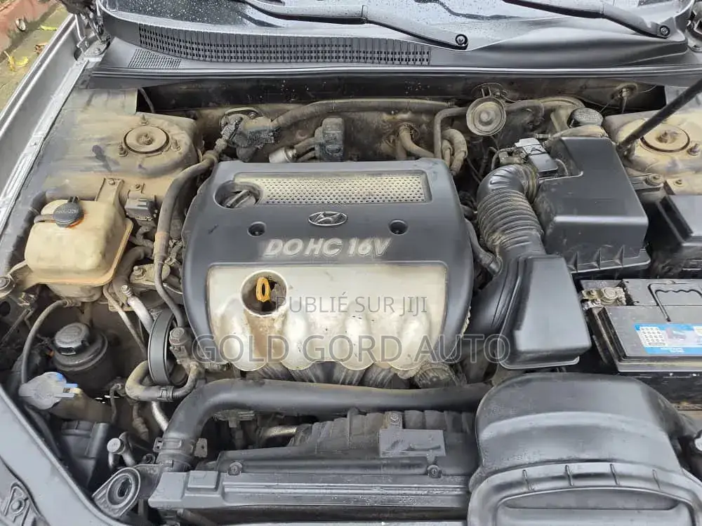 Hyundai Sonata 2007 Gris