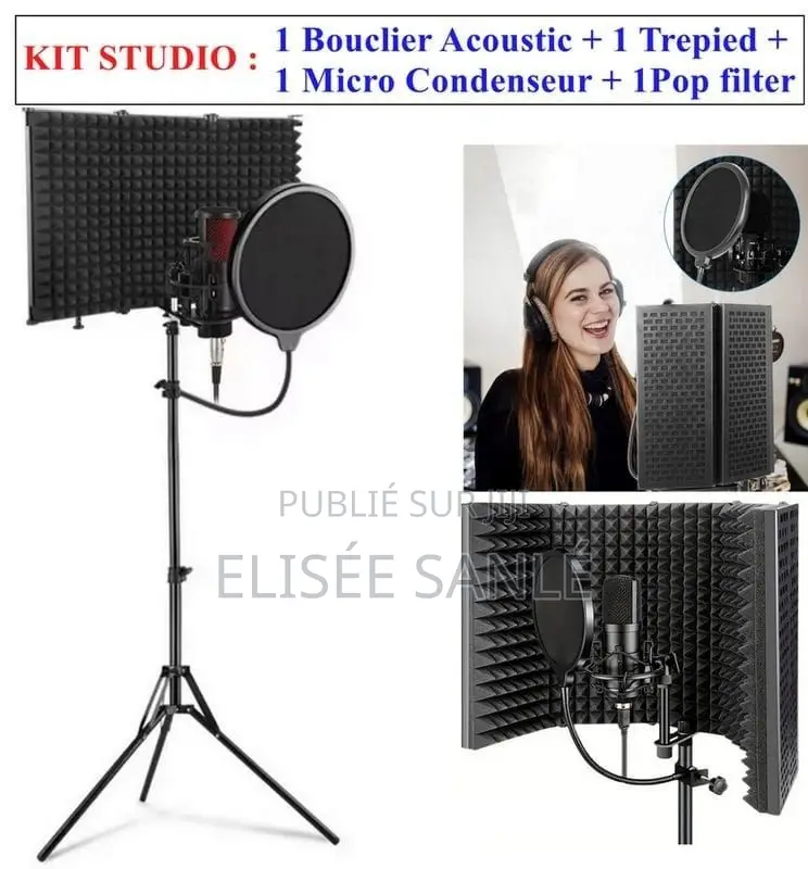 Kit Microphone Professionnel 4 Éléments