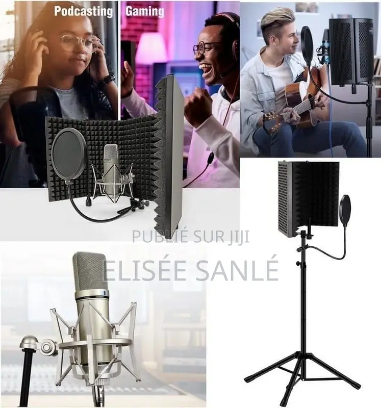 Kit Microphone Professionnel 4 Éléments