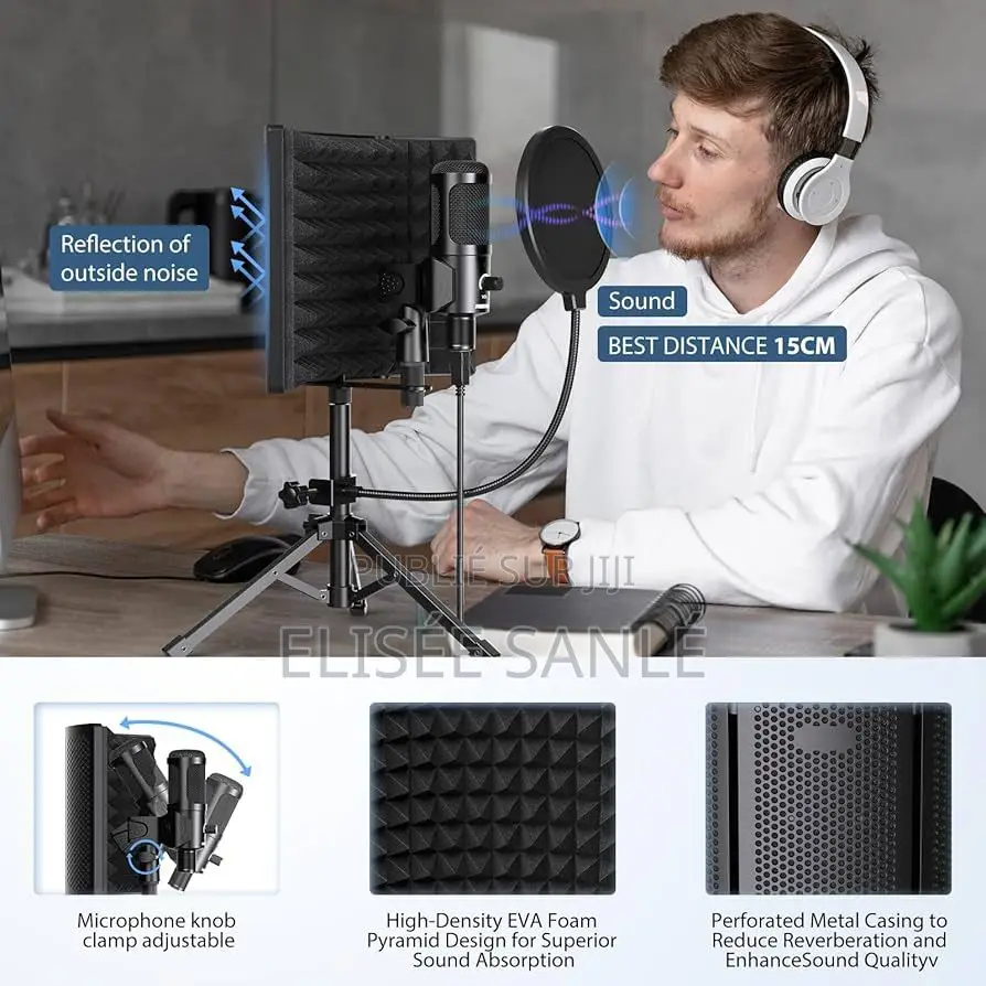 Kit Microphone Professionnel 4 Éléments