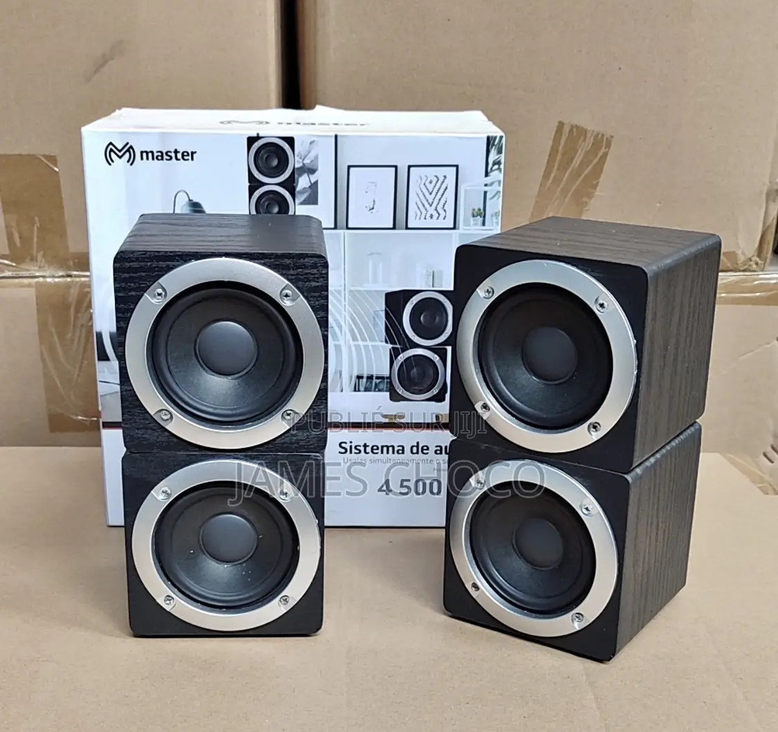 Enceinte Bluetooth Master 4 en 1