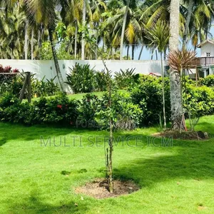 6chbre Duplex dans Ismaël Coulibaly, Grand-Bassam à Vendre