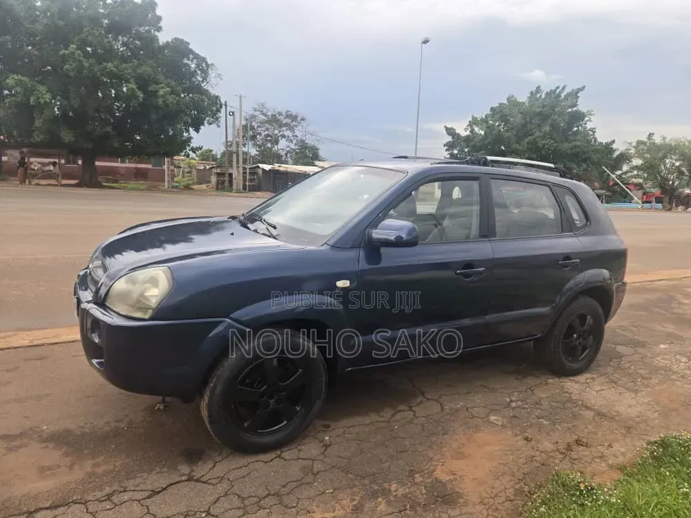 Hyundai Tucson 2006 Bleu
