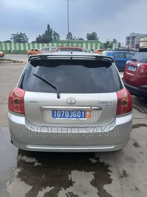 Toyota Corolla 2003 Gris