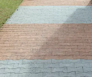 Pose De Pavé Pour Passage Voiture