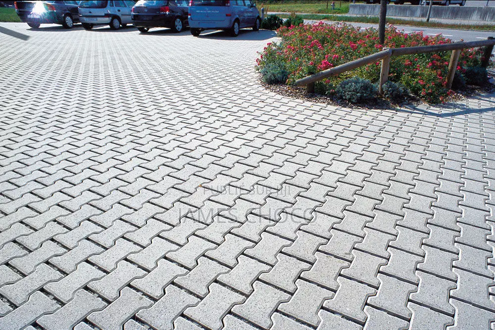 Pose De Pavé Pour Passage Voiture