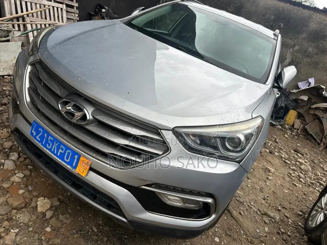 Hyundai Santa Fe 2017 Gris