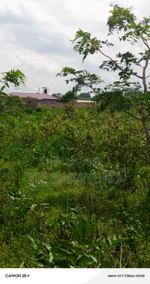 Terrain en Vente À Bouaké