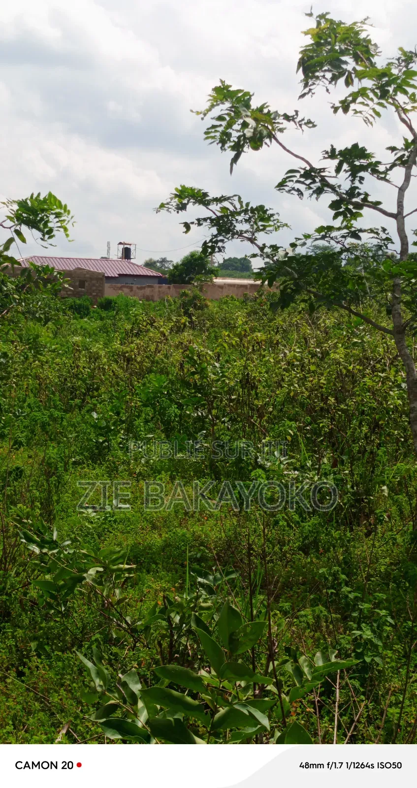 Terrain en Vente À Bouaké