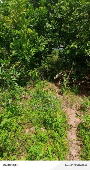 Terrain en Vente À Bouaké