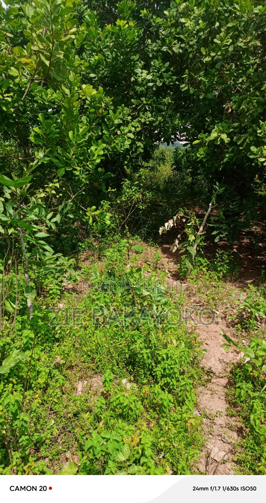 Terrain en Vente À Bouaké