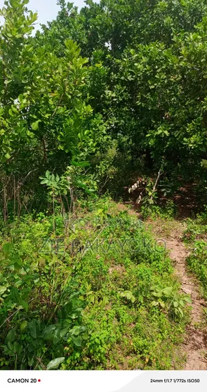 Terrain en Vente À Bouaké