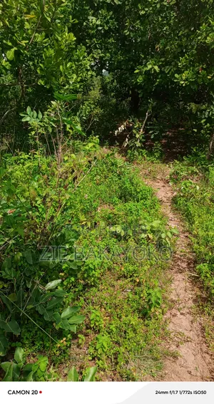 Terrain en Vente À Bouaké