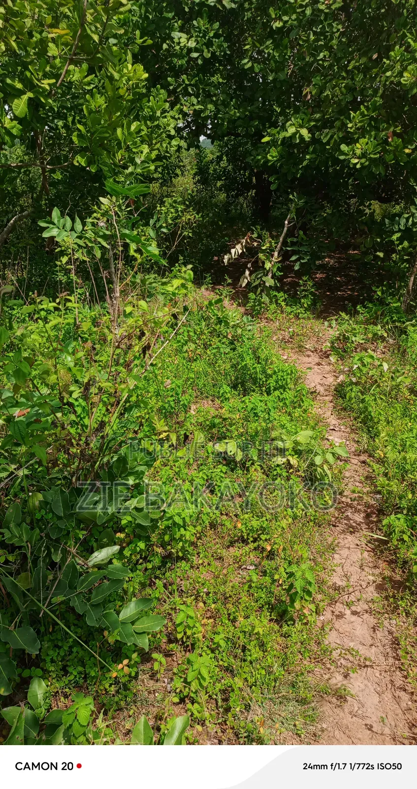 Terrain en Vente À Bouaké