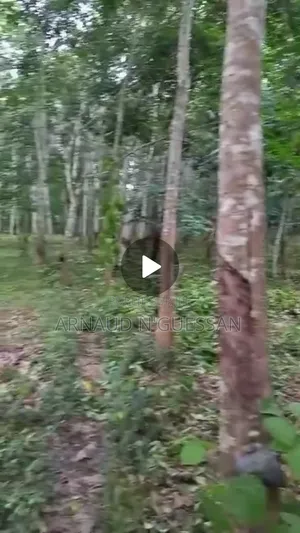 Un Bon Champ d'Evea en Garanti