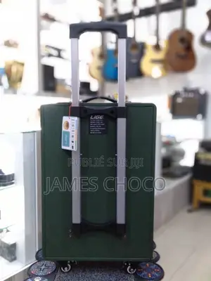 Lige - 126 12 Inch Portable Bluetooth Speaker