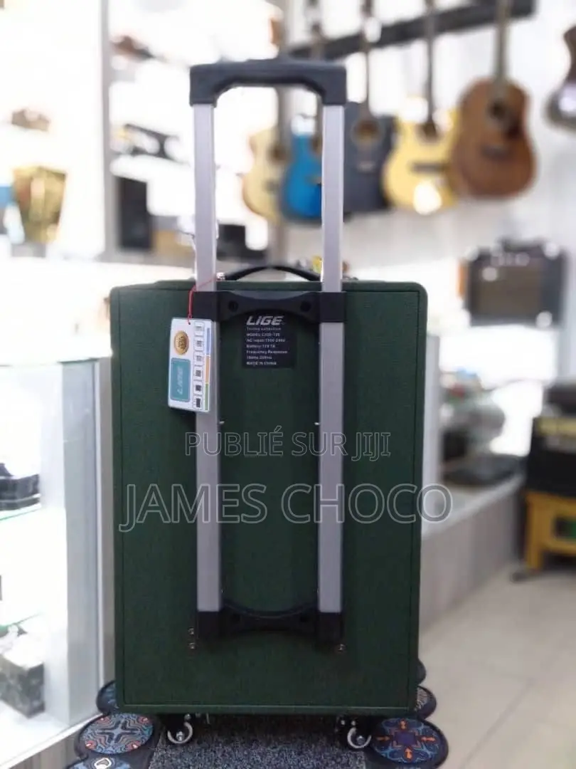 Lige - 126 12 Inch Portable Bluetooth Speaker